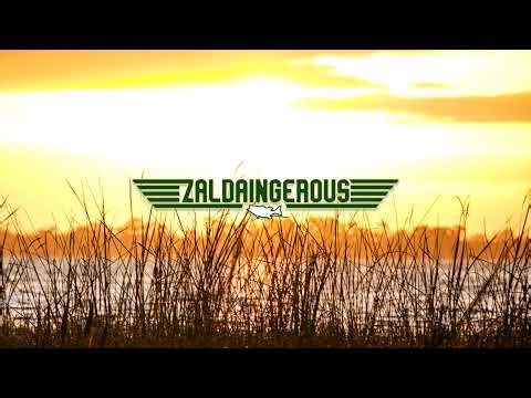 Fishing Swimbaits For Big Bass (Zaldaingerous Live)