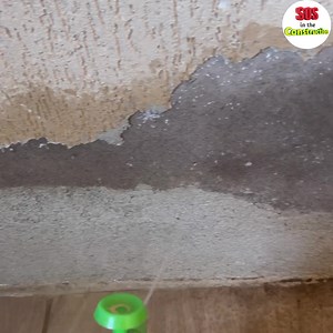 IT'S NOT PALIATIVE.. goodbye humidity 😲 I solved it by the Root | SOSintheconstruction