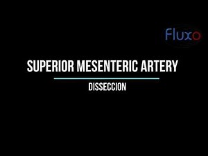Superior Mesenteric Artery Dissection