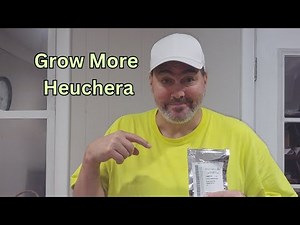 How to Grow Heuchera from Seed : Beginner's Complete Guide