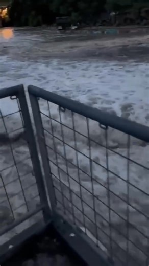 19K views · 47 reactions | New Braunfels Police Department on Reels | Facebook