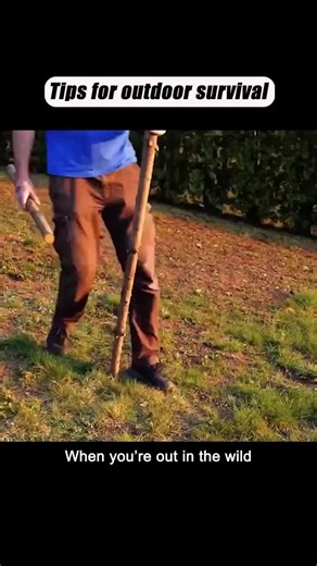 Jungle Survival Fire Hacks: Light a Candle Without a Lighter