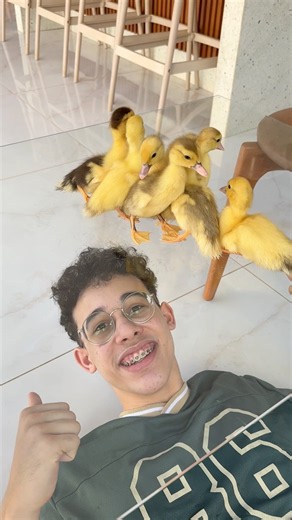 QUEM SE ASSUSTAR PERDE! #comedia