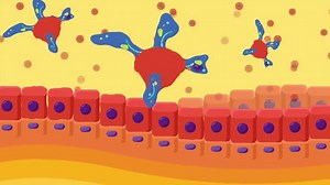 What is Necroptosis?