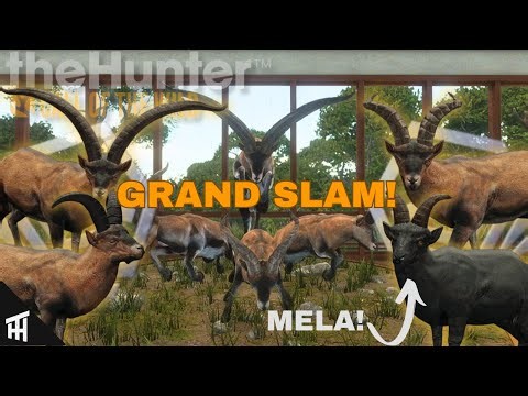 I Completed the Grand Slam Mount in ONE HUNT! | Cuatro Colinas | theHunter: Call of the Wild