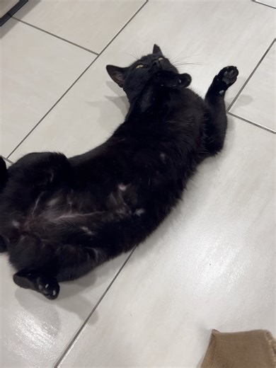 heeju on Instagram: "java.lang.NullPointerException"