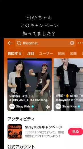 This&Thatキャンペーンで限定写真を保存する方法（Stray Kids）