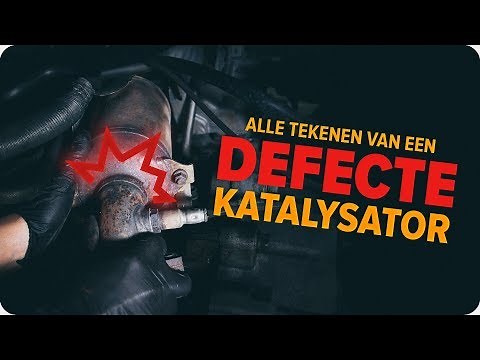 Hoe u de katalysator kunt inspecteren | Tips van AUTODOC