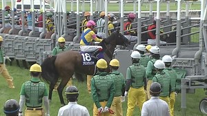 18K reactions · 186 shares | The Victoria Mile is a prestigious Grade...