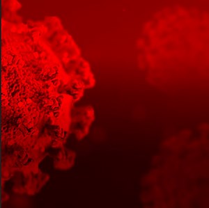 6.9K views · 206 reactions | Full Hour Long Coverage Tonight on NBC 5 News at 10. | NBC DFW | Facebook