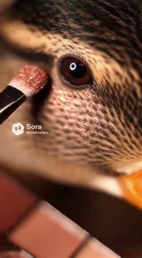 A Professional Makeup Tutorial… By a Duck