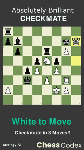 Strategy 73 | White to Move | Absolutely Brilliant Checkmate