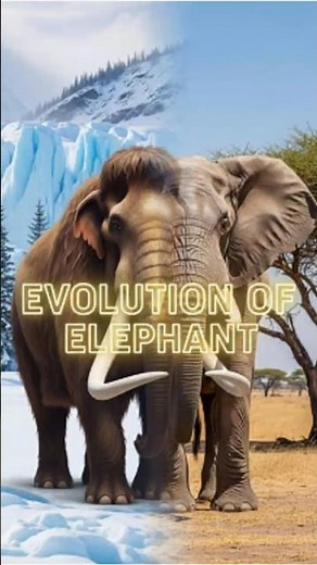 Journey of Elephant Evolution Timeline! 🐘 #shorts #elephant #evolution #aitransformation