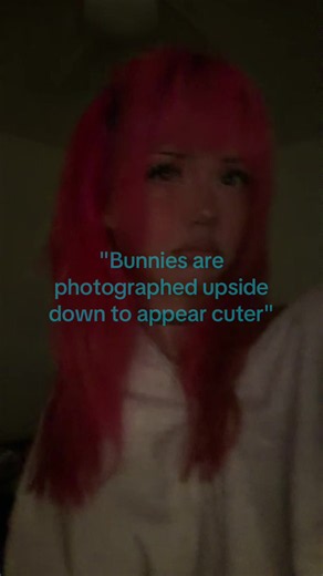 sighs #refrence #fypシ #abrianau | bunnies are photographed upside down