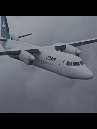 Luxembourg's Deadly Luxair Flight 9642 Crash