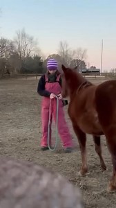 18K views · 860 reactions | I have people/traders/slaughter buyers...