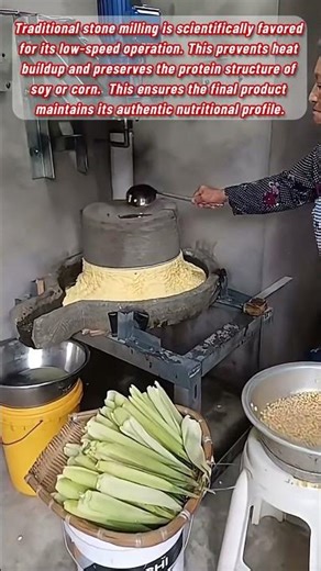 Evolution Of Grain Processing From Stone Mills To Electric Grinders