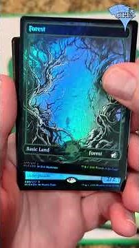 Opening Innistrad Midnight Hunt (2021) Collector Pack!