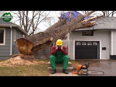 Idiots With Chainsaws: Tree Cutting Fails & Tree Falling on Houses Compilation #24