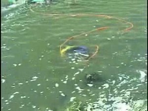 Beginning gold dredgers finding courage