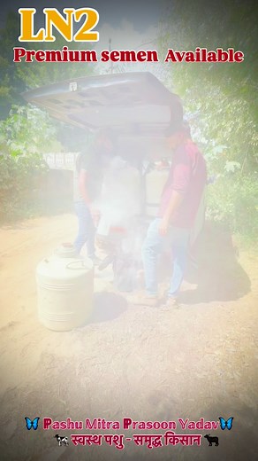 12K views · 1.5K reactions | Premium semen available #cow #doctor #veterinary #viral #dog #trending #animal #animallover #buffalo #veterinry #milk #dairy #neemrana #alwar #rajasthan | Vet Care Officials | Facebook