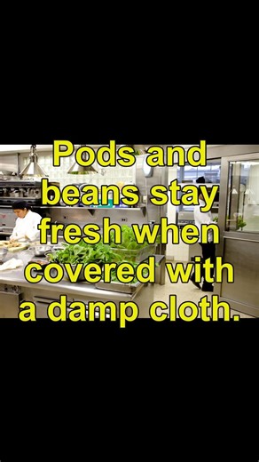 Stop using plastic to store your food There is a smarter natural way to keep everything fresh Wrap y