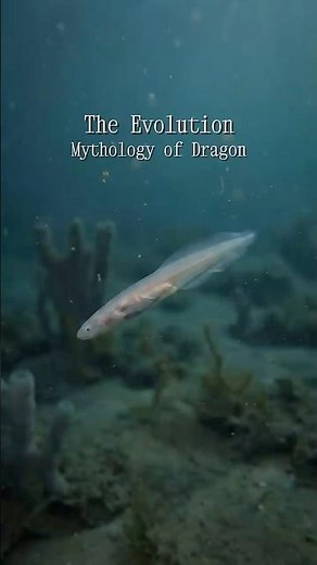 The EVOLUTION of Dragon Mythology Compared to Real-Life Dinosaurs