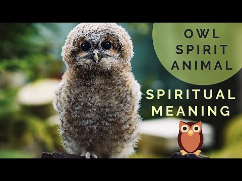 Why YOU Keep Seeing Owls | Owl Spirit Animal 🦉 | Owl Spiritual Meaning and Mythology