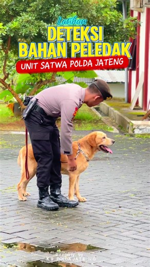 explosives detection #CapCut #fyp #k9 #polripresisi