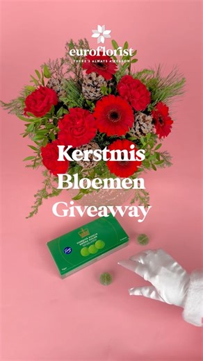 Euroflorist België | Online bloemen bezorgen on Instagram: "🎄 Kerstboeket Giveaway! 💐✨ Klaar om wat extra feestelijke magie te winnen? Wij geven een prachtig kerstboeket weg om jouw feestdagen nóg mooier te maken. Zo doe je mee: ❤️ Like deze reel ➕ Volg ons 🎁 Omschrijf jouw perfecte kerst met 3 emoji’s in de reacties Je kunt meedoen tot vrijdag! Houd je DM’s in de gaten 👀✨ #euroflorist #kerstgiveaway #winactie"