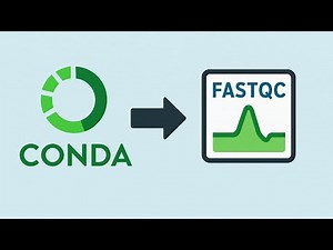 How to install packages with conda and mamba
