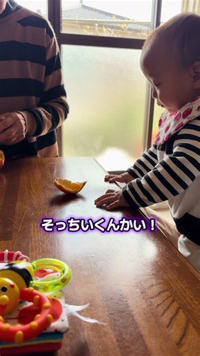 はー様、すくすく育ってます。 #赤ちゃん #赤ちゃんのいる生活 #赤ちゃんおもしろ動画