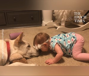 So lovely! Credit: Stephanie Tassin via ViralHog | Bright