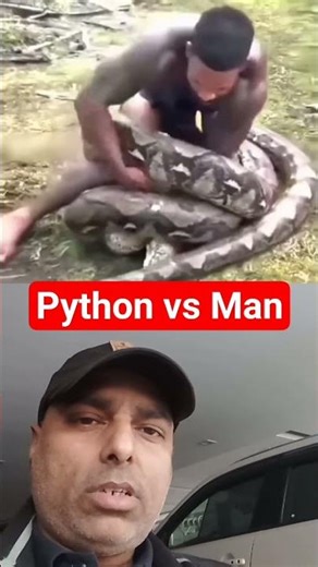 Man vs Python Fight !! #shorts #wild #python