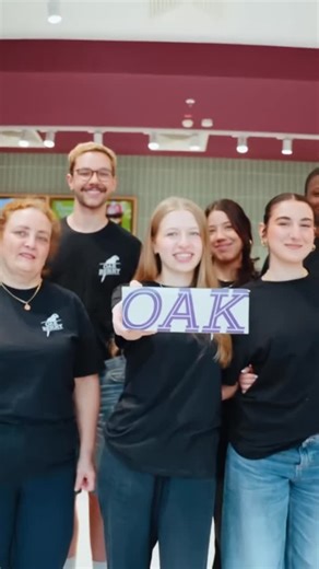 OAKBERRY TR🇹🇷 on Instagram: "2025 recap ✨ Another year, going NXT LVL and taking açaí higher than ever. New stores, new flavors, new wins, same OAK energy. Let’s keep levelling up. 🚀"