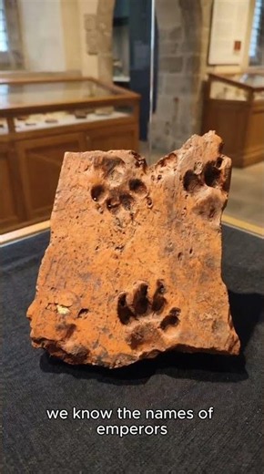 A Dog Walked Across This Roman Tile 2,000 Years Ago