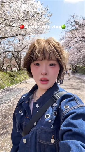 青森1人旅綺麗な景色と文化に触れて幸せでした⟡.·#旅行 #旅行vlog #青森県 #青森 #観光 #vlog #桜 #ねぶた #山車 #弘前 #弘前公園 #青森県立美術館 #植物園