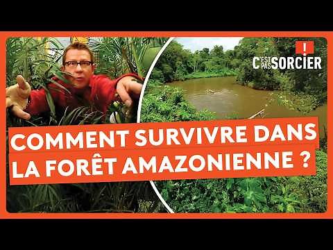 Comment survivre dans la forêt amazonienne ? - C'est pas sorcier