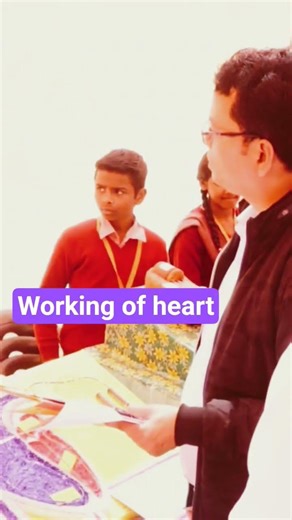 Working Model of Heart || Science Exhibition #shorts