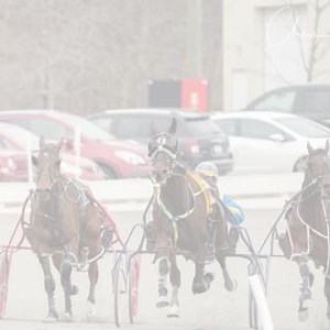 The Meadows Live Harness Racing schedule is a bit different this week so please make note! We are racing Wednesday-Friday at 12:45pm AND Saturday at 11:25am! #BetTheMeadows #HarnessYourLuck | Meadows Standardbred Owners Association