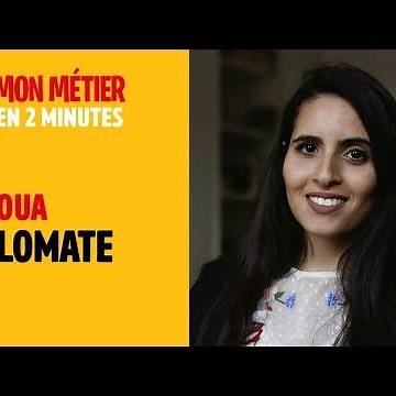 Diplomat - My job in 2 minutes