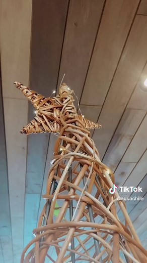 🎄 Para esta navidad, no te olvides de tu salmón AquaChile! #AquaChile #Salmon #Acuicultura #SurdeChile #Chile #Patagonia #Aquaculture #SeaFood #creatividad #recetas #TiendasAquaChile #comesalmon #recetafacil