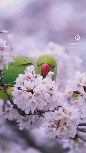  Spring Is Just Around the Corner  As the mornings are still cold...