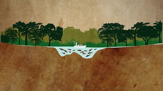 124 reactions · 20 comments | World’s best Peacock Bass fishing experience in the wild & exotic Amazon River. | River Plate Anglers | Facebook