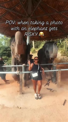 Alfred “Fredo” Thomas III on Instagram: "It’s just a bad look 😭 Subscribe to my YouTube with the link in my bio 🤙🏾 #fredotv #comedy #reaction"