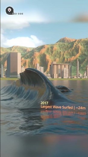 TSUNAMI Height Comparison | 3D