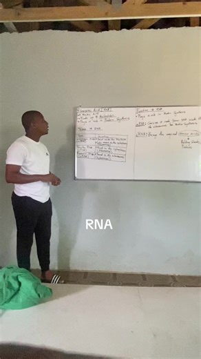 Understanding RNA and Its Role in Protein Synthesis