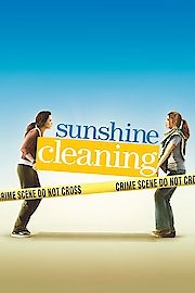 Sunshine Cleaning