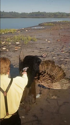 p633 Simulate great survival skills , #shorts