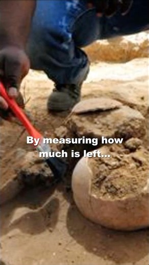 How Archaeologists Date Ancient Humans?!